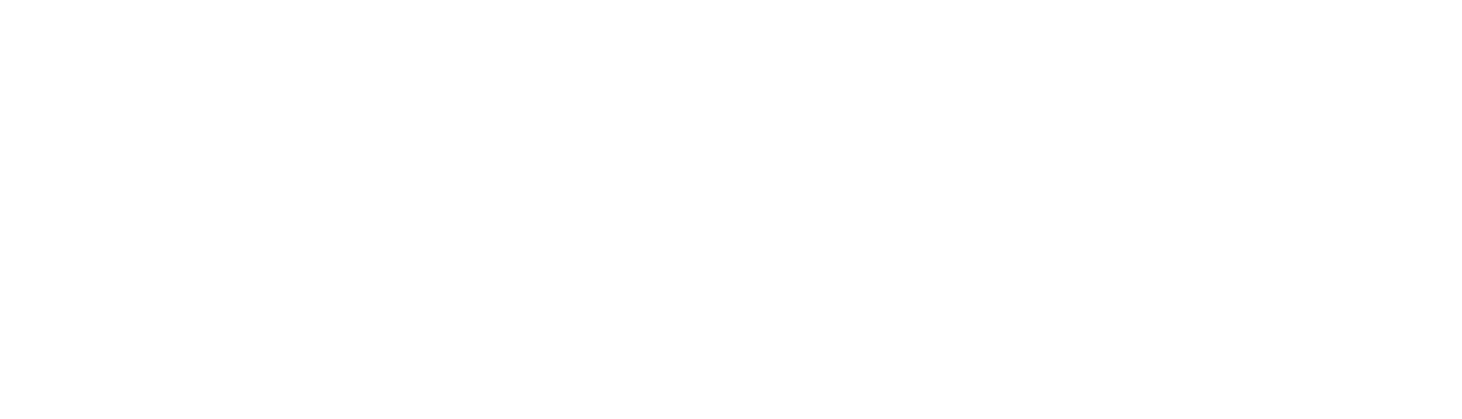 Meadowstone Place 55+ active adult retirement communities dallas tx logo