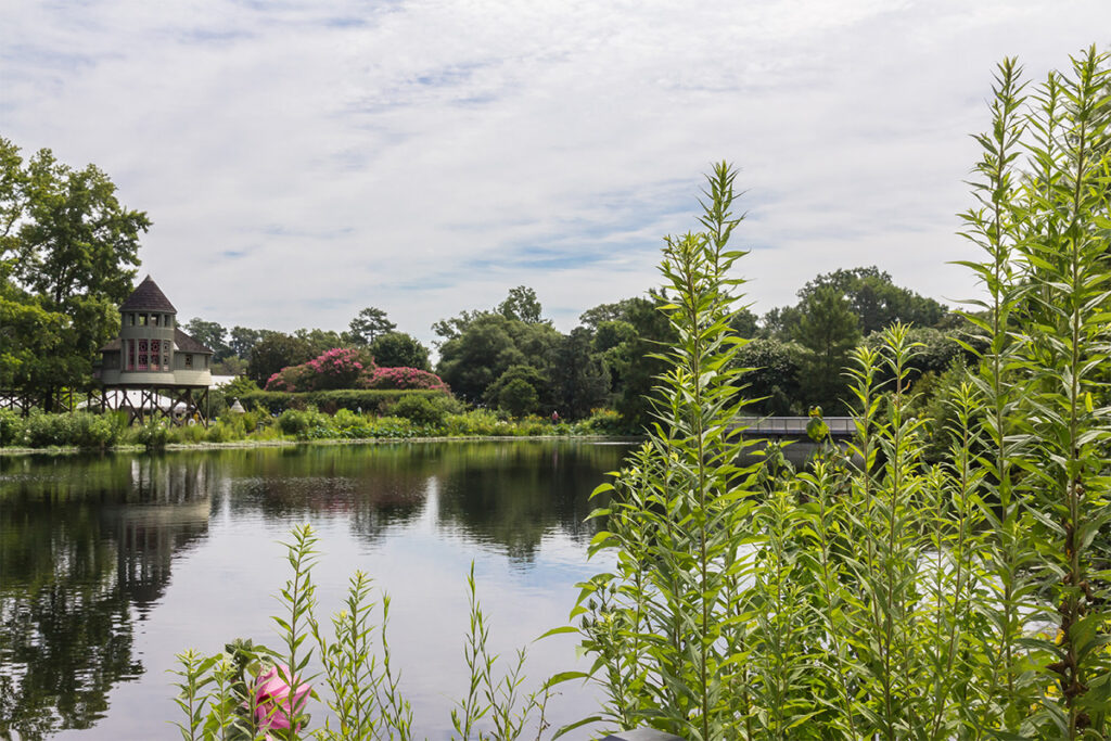 Verena at the Glen Senior Living Community Glen Allen Virginia Neighborhood