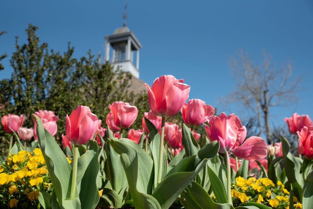 The unparalleled benefits of retiring in Williamsburg, Virginia