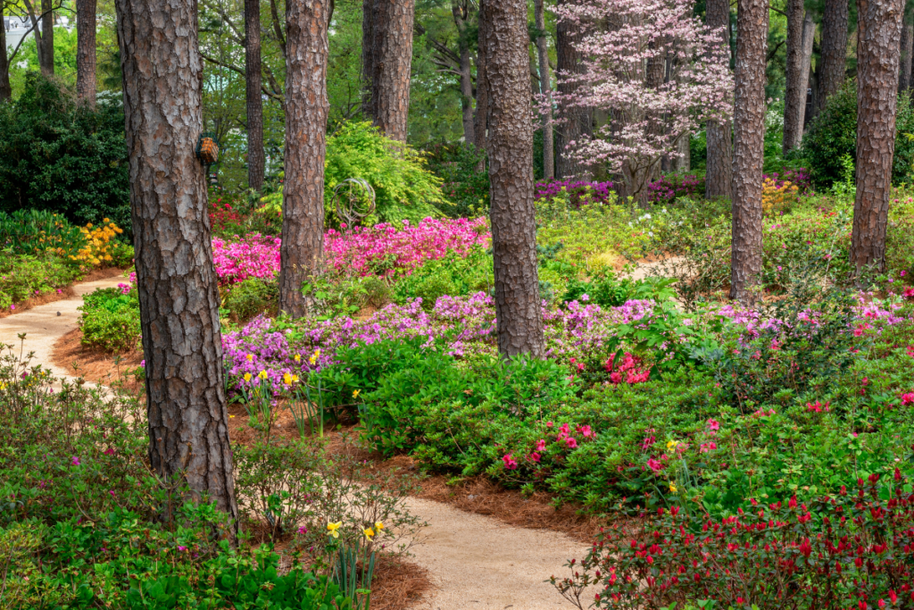 Flower Garden Pathway in Raleigh, North Carolina