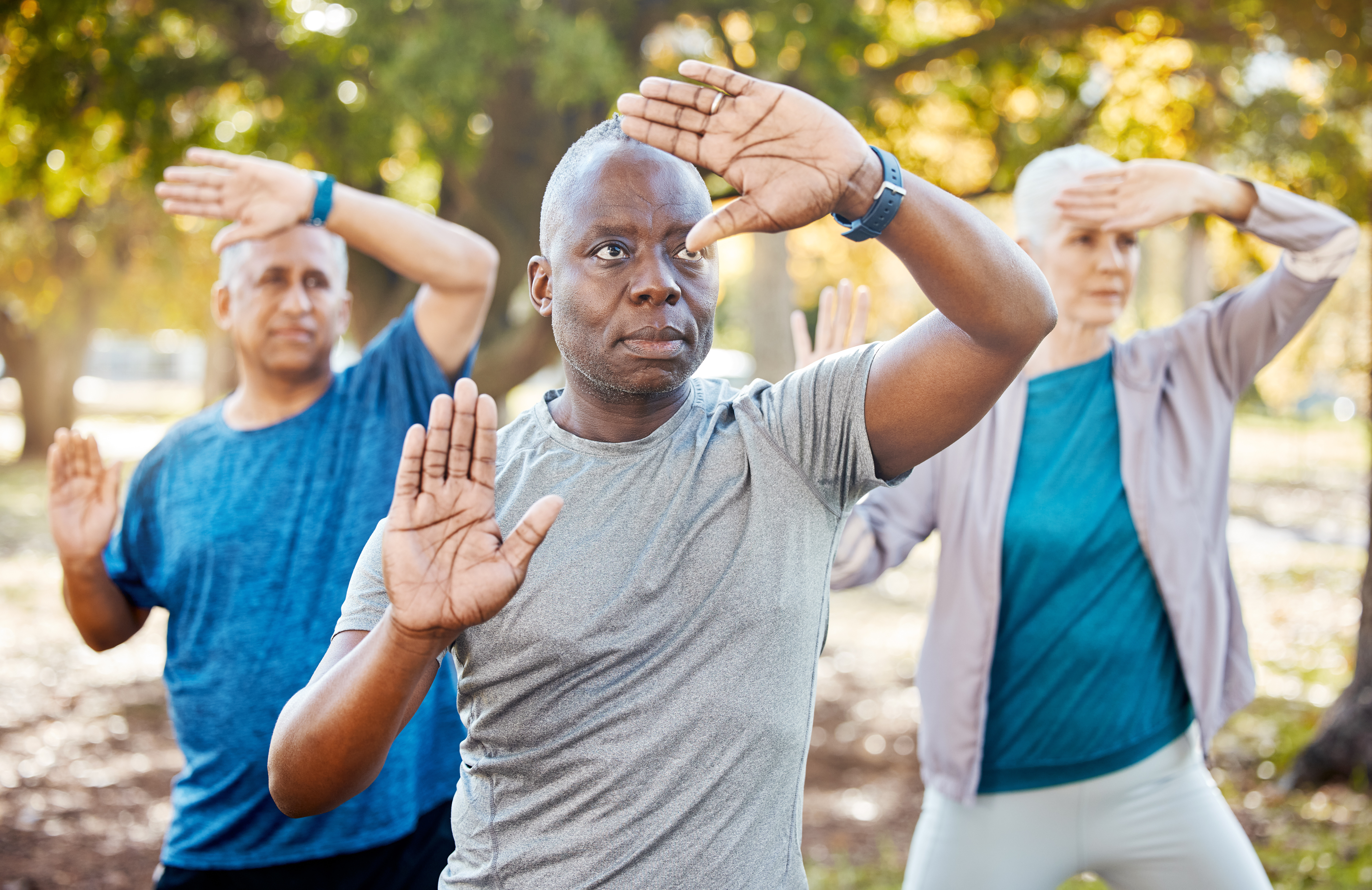 Exercises-for-Active-Seniors Fitness, tai chi