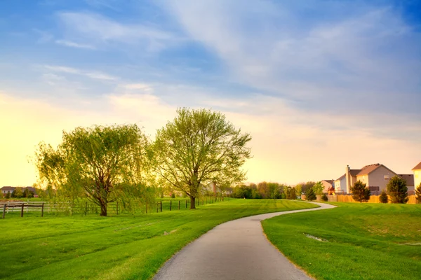 Sunset over a walking path curving through a grassy field with trees