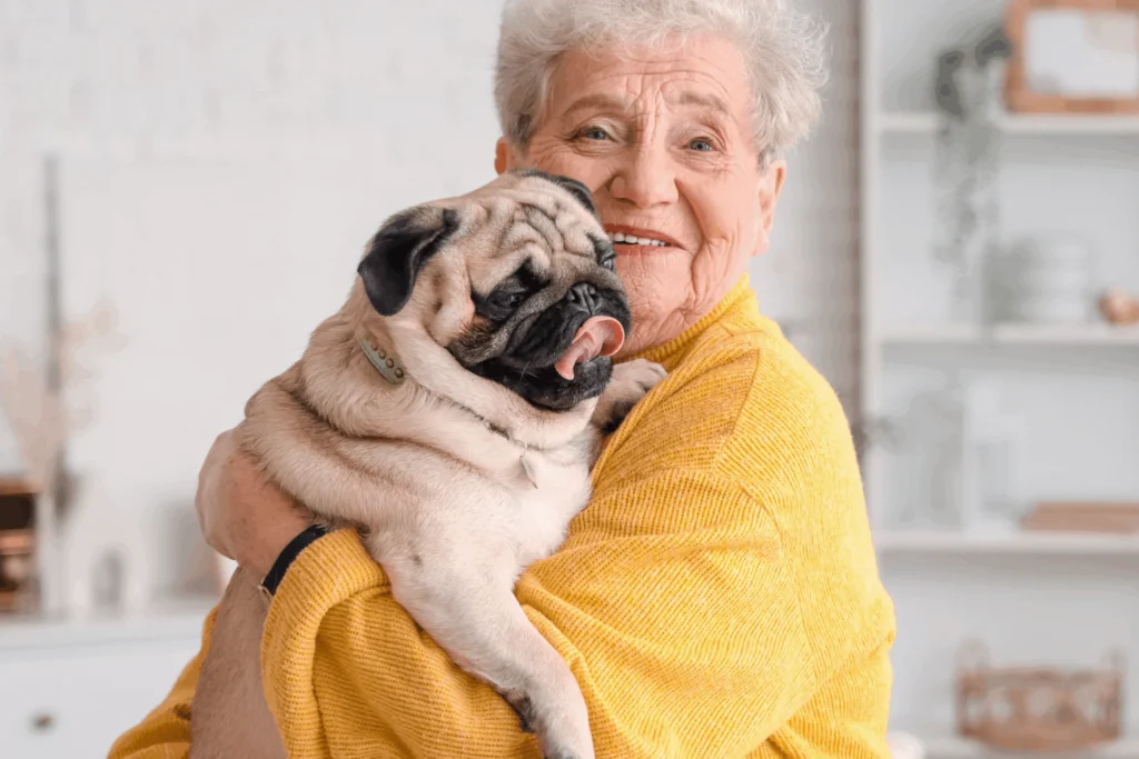 Smiling older woman in a yellow sweater holding a pug