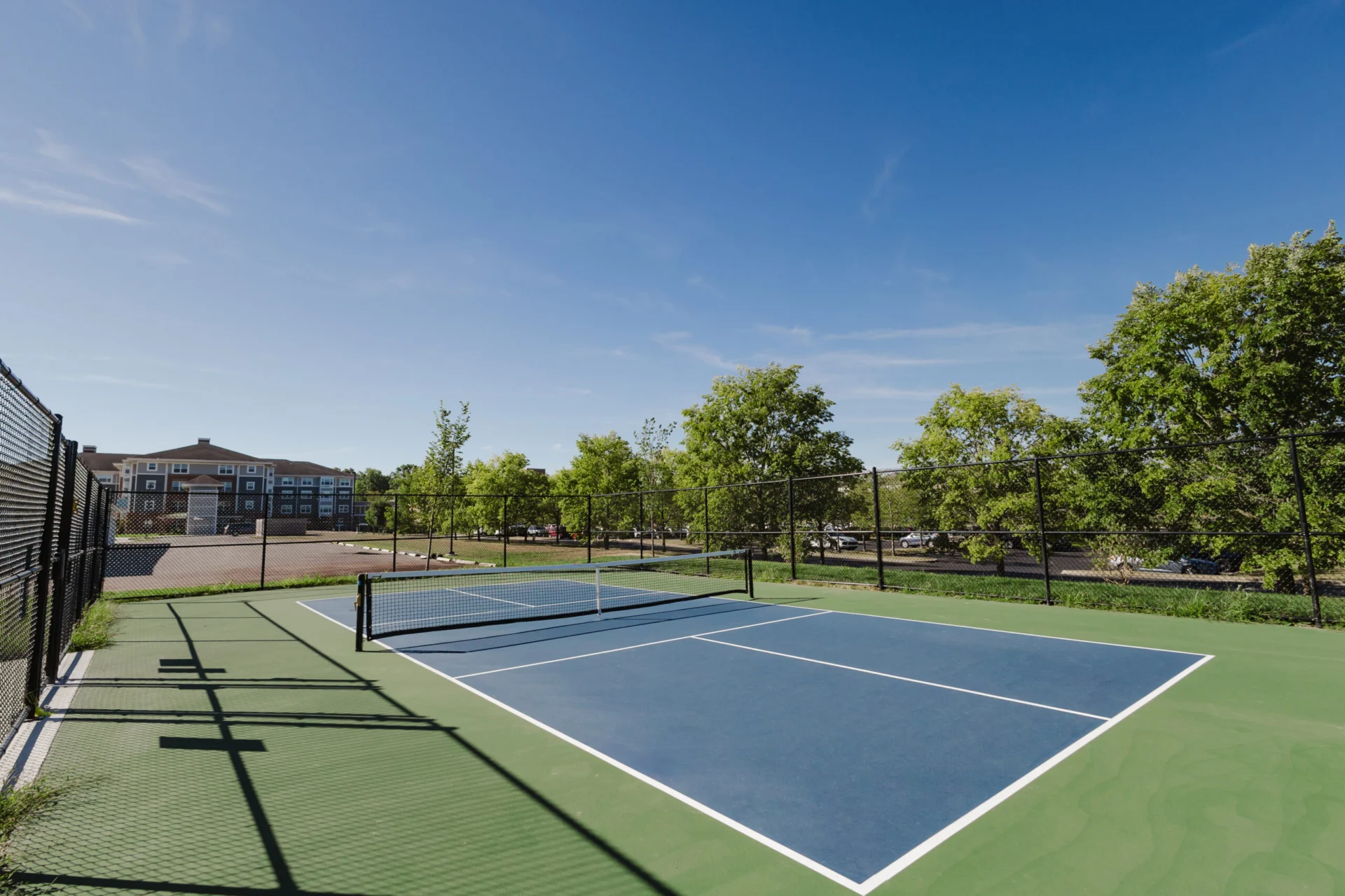 A blue and green outdoor pickleball court surrounded by a black fence, with trees and parked cars in the background under a clear blue sky.