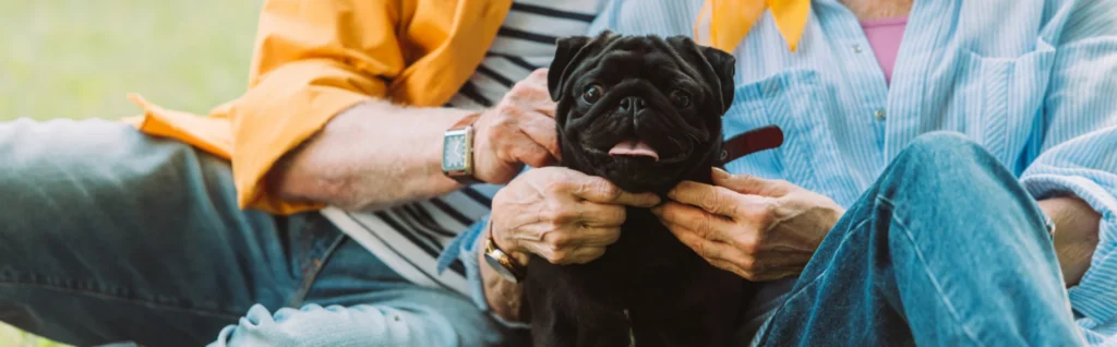 Why Pets are Such a Treat if You're Over 55