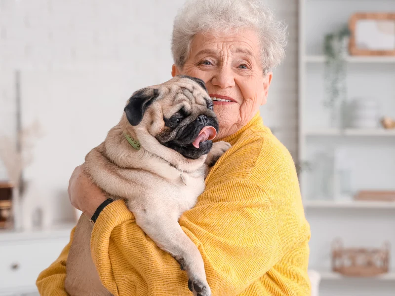 The Power of Pets: Benefits of Having Pets for Seniors