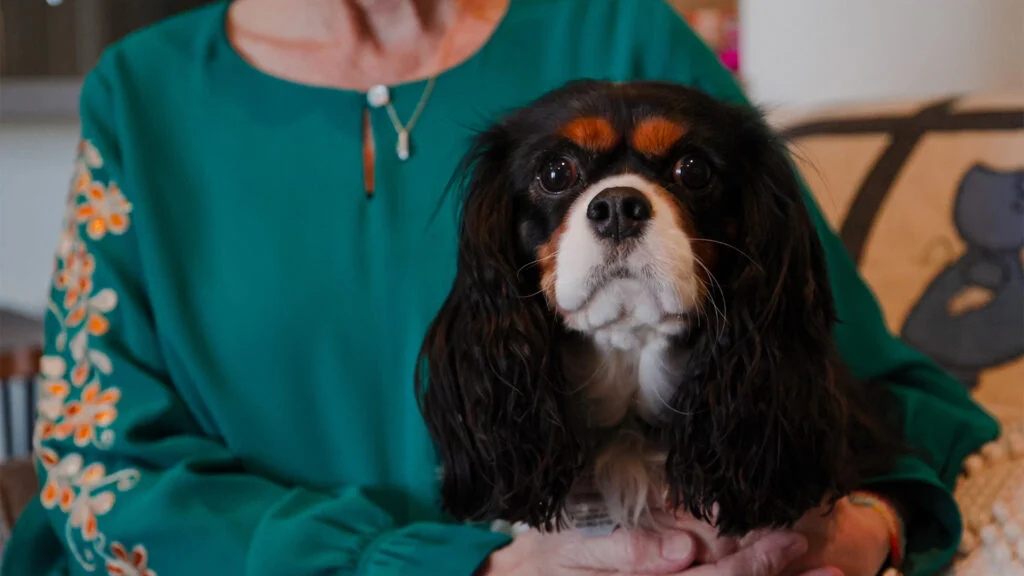 Pet-Friendly Senior Living 