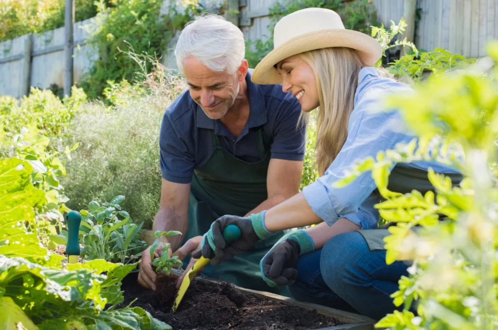 Low-Maintenance Plants for Seniors: Cultivate Beauty with Ease