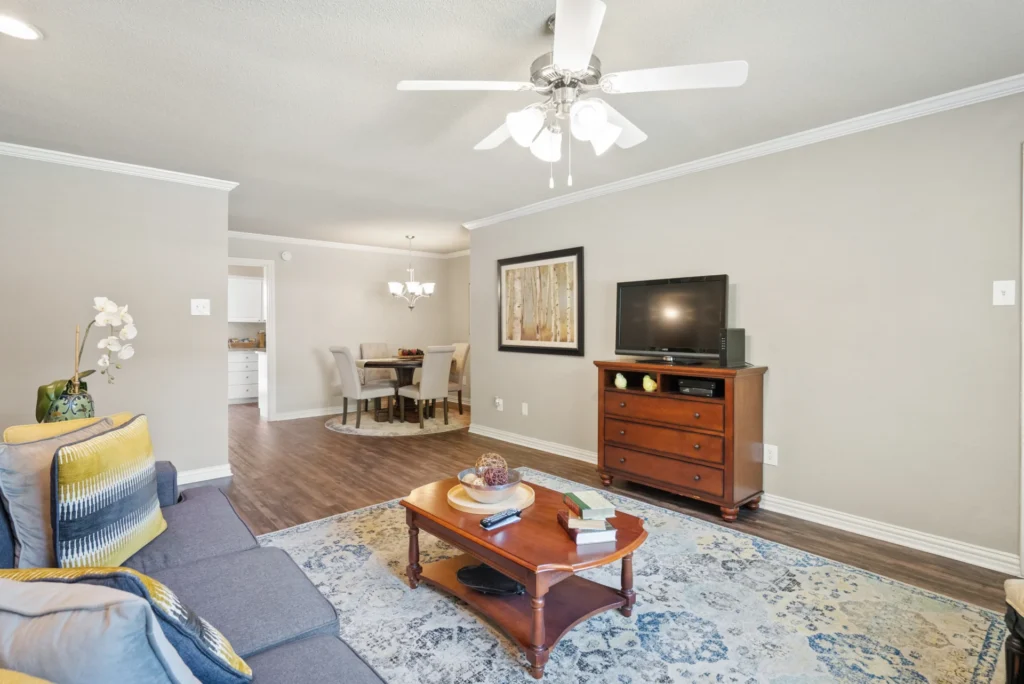 Apartment Living Room