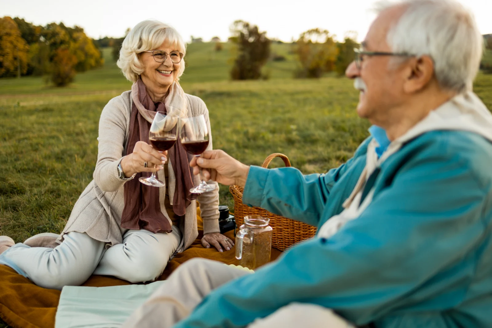Older woman and man toasting with glasses of red wine during a picnic on a grassy hillside