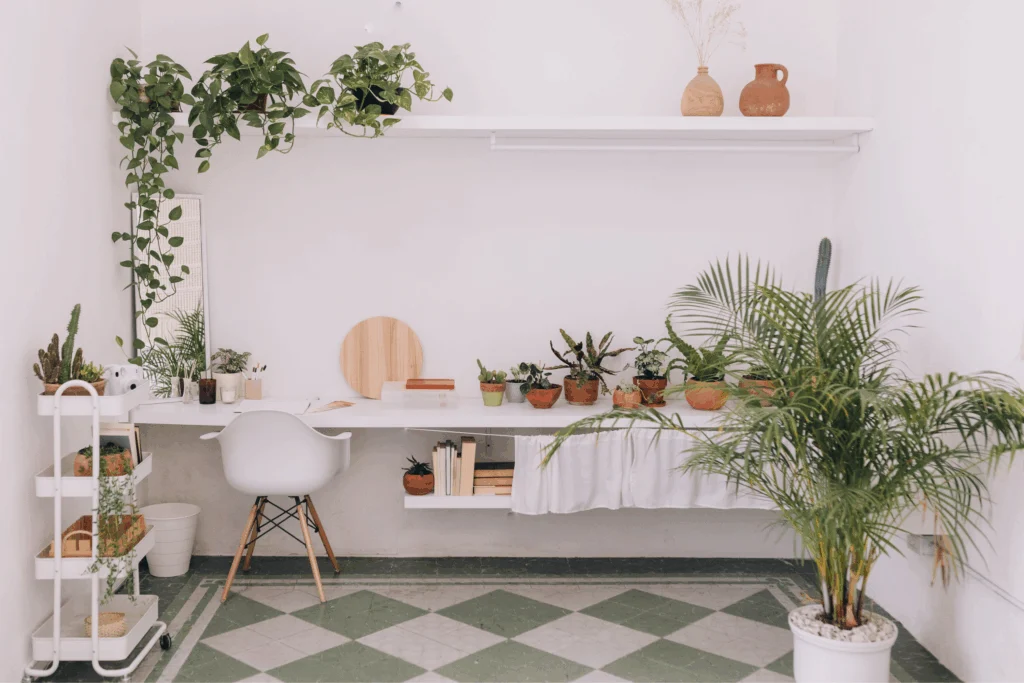 Bright plant-filled room with a white desk, shelves of potted plants and a checkered floor