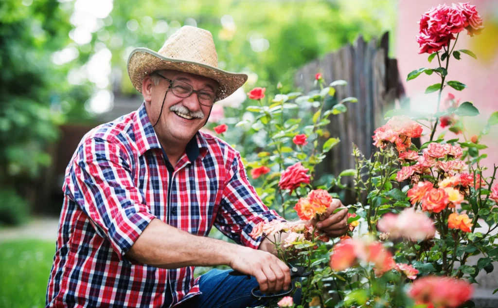 Finding the Perfect Senior-Friendly Apartments Near You