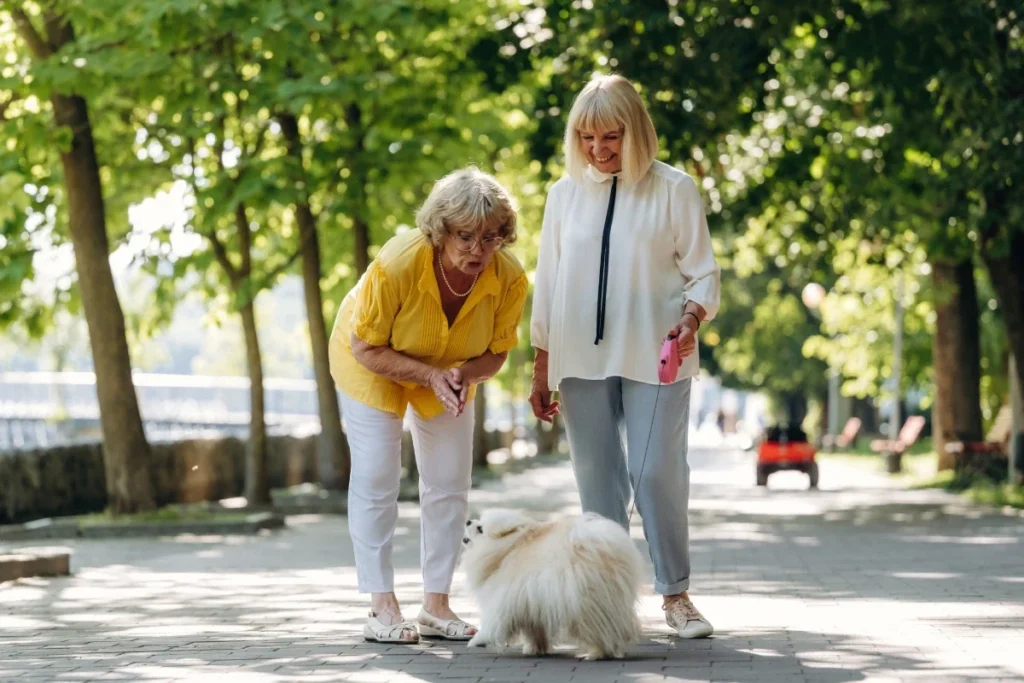 Two senior women walking a fluffy white dog on a tree-lined park path