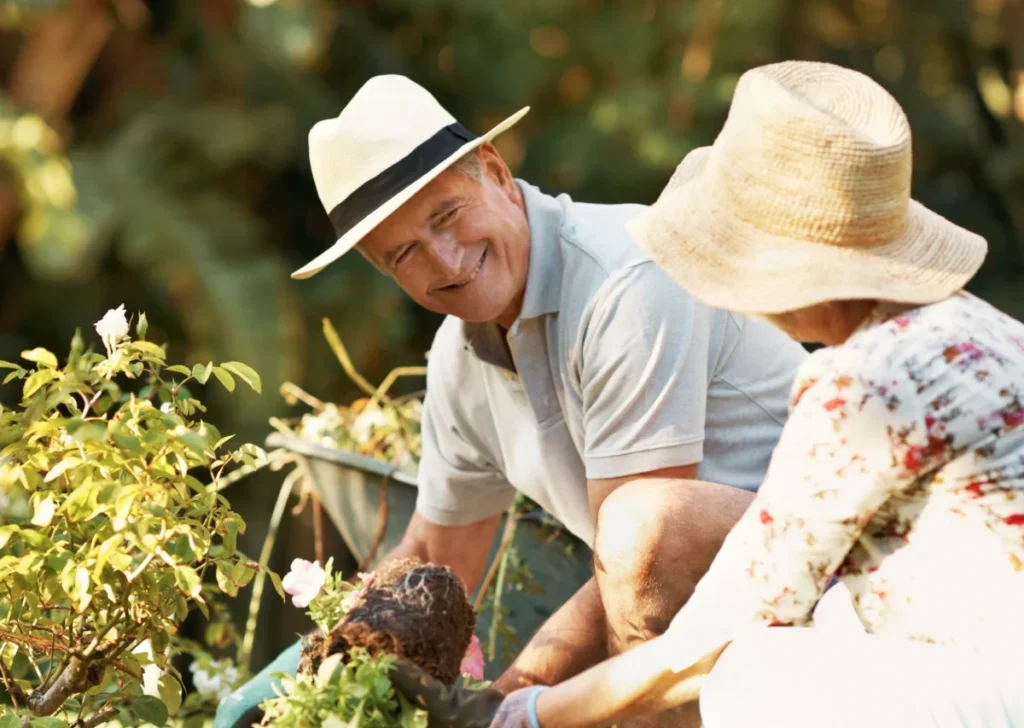 Older adults in sun hats gardening together among plants