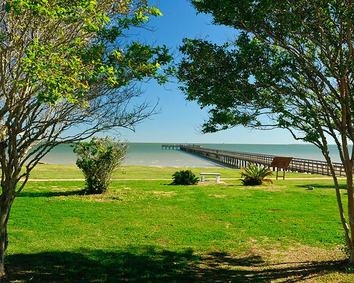 Fishing pier extending into a bay beyond a grassy shoreline framed by trees