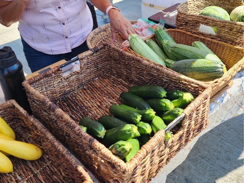 Baskets of fresh cucumbers at a farmers market stall