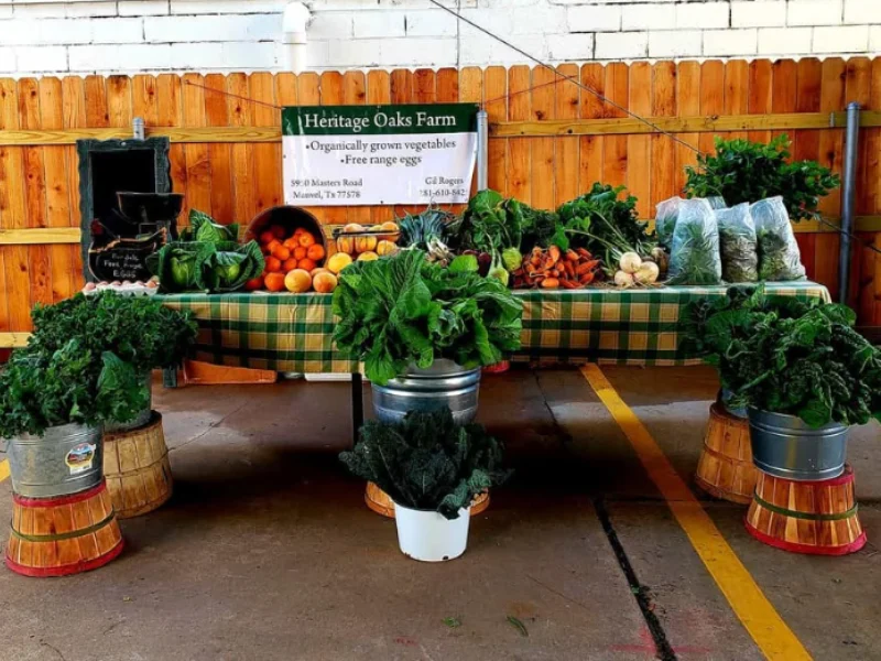 Farmers market stand displaying fresh vegetables and greens